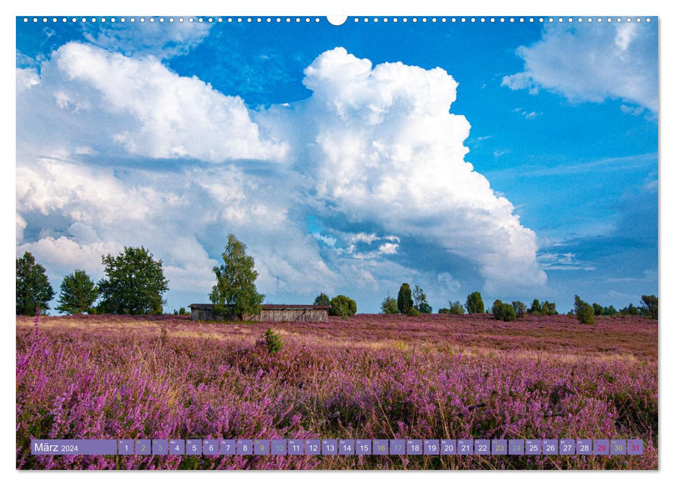 Die Farbenpracht der Lüneburger Heide (CALVENDO Premium Wandkalender 2024)