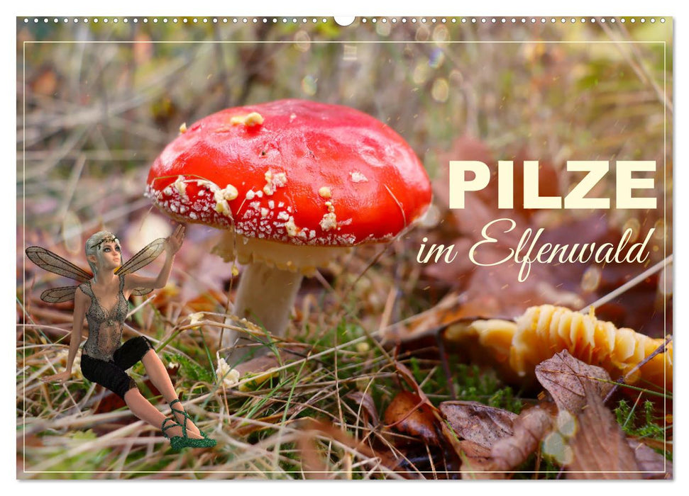 Pilze im Elfenwald (CALVENDO Wandkalender 2024)