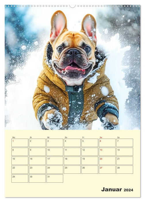 Lustige Fledermäuse. Französische Bulldoggen bei der Freizeitgestaltung (CALVENDO Premium Wandkalender 2024)