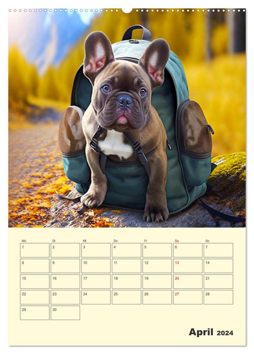 Lustige Fledermäuse. Französische Bulldoggen bei der Freizeitgestaltung (CALVENDO Premium Wandkalender 2024)