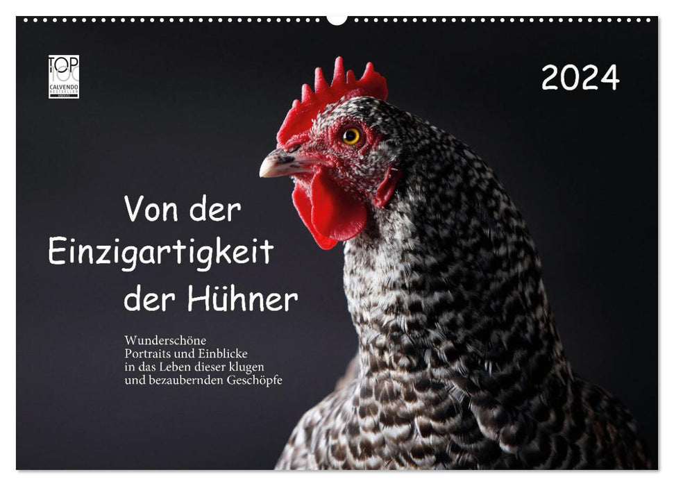 Von der Einzigartigkeit der Hühner 2024 (CALVENDO Wandkalender 2024)