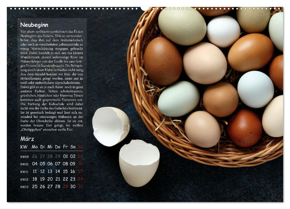 Von der Einzigartigkeit der Hühner 2024 (CALVENDO Wandkalender 2024)