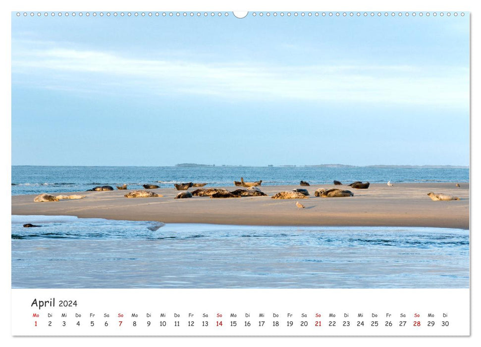 Borkum: Streifzüge über die Nordseeinsel (CALVENDO Premium Wandkalender 2024)
