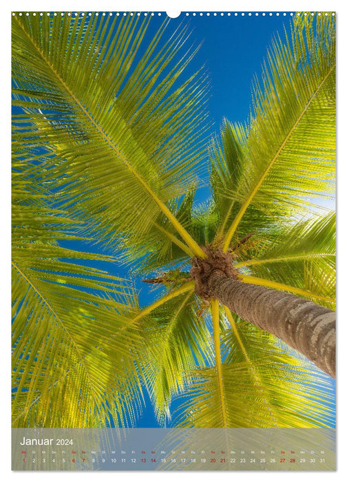 Karibischer Traum Isla Saona (CALVENDO Premium Wandkalender 2024)