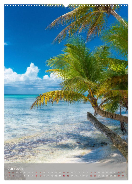 Caribbean Dream Isla Saona (Calvendo Premium Calendrier mural 2024) 