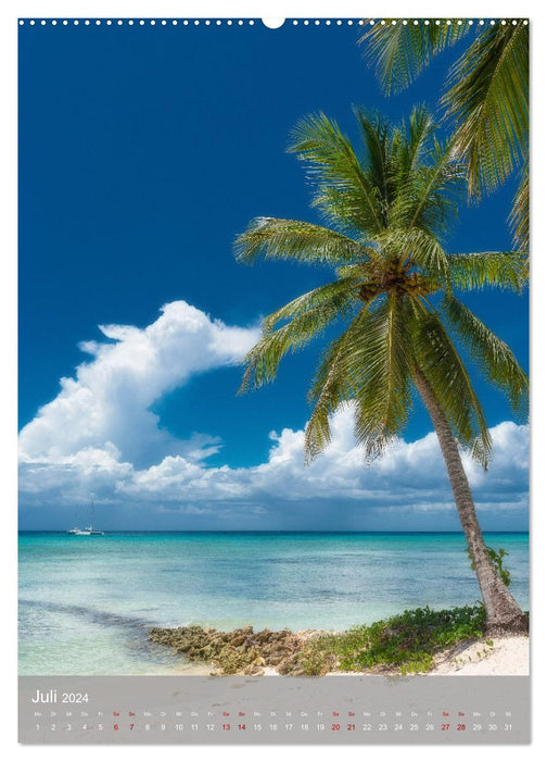 Karibischer Traum Isla Saona (CALVENDO Premium Wandkalender 2024)