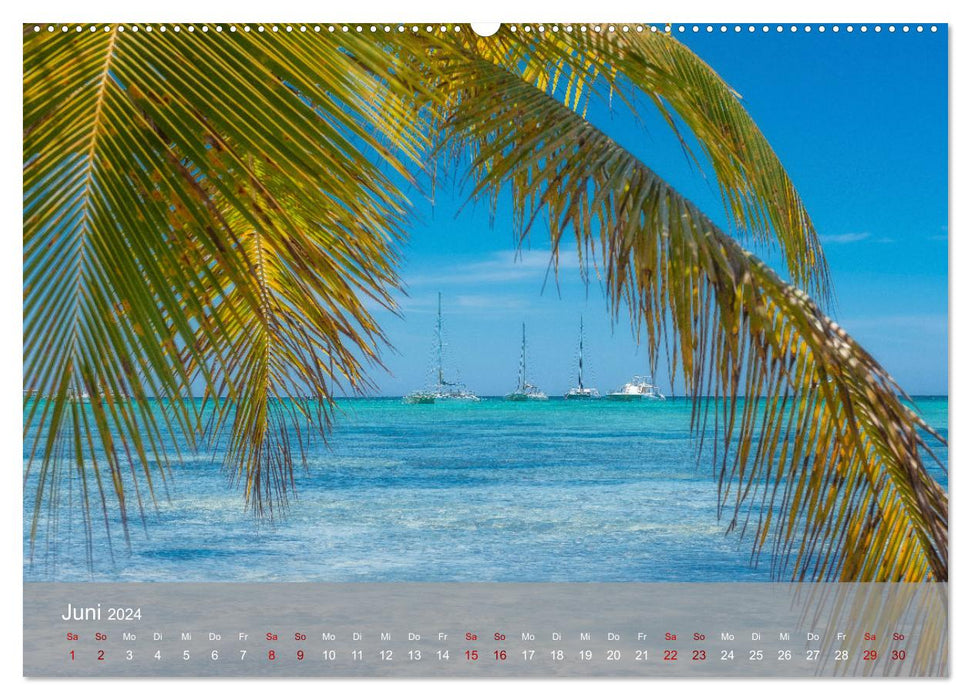 Karibik Traum Isla Saona (CALVENDO Premium Wandkalender 2024)