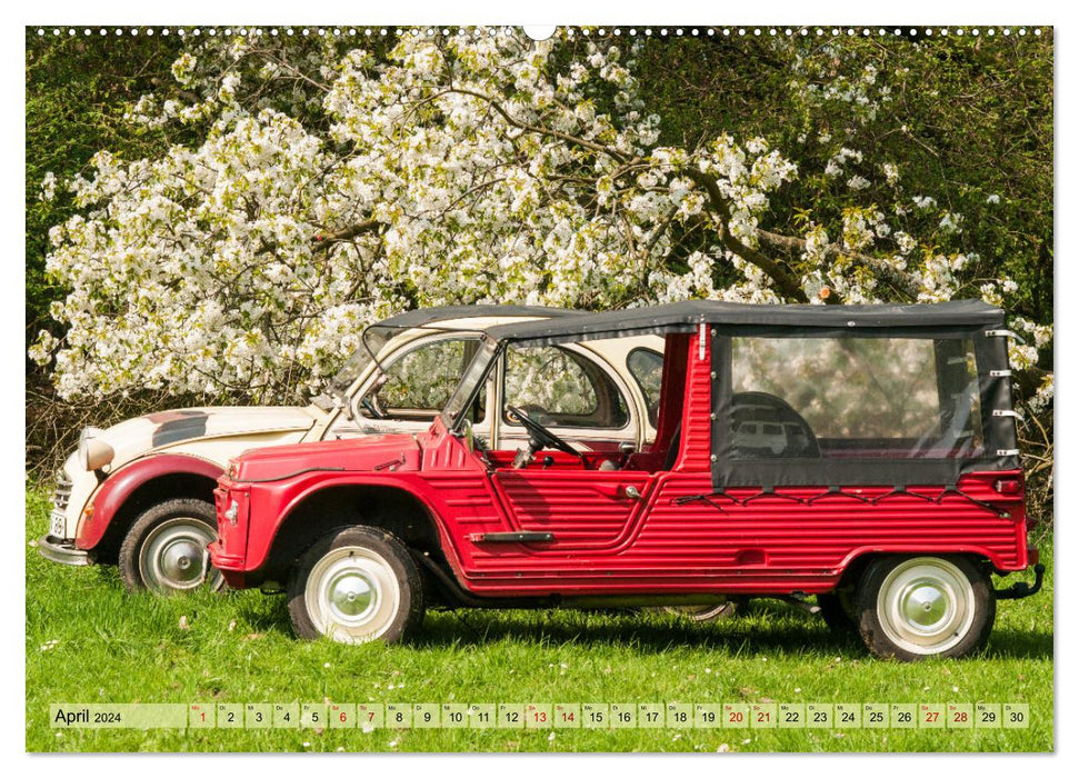 Französische Klassiker - 2CV und D Modell Oldtimer (CALVENDO Premium Wandkalender 2024)