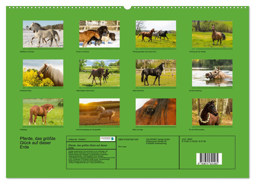 Les chevaux, le plus grand bonheur sur terre (Calendrier mural CALVENDO Premium 2024) 