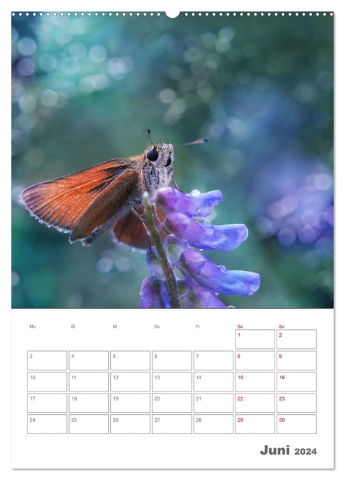 Helden in der Natur (CALVENDO Premium Wandkalender 2024)