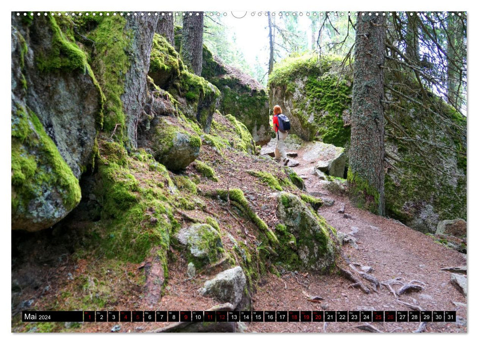 Meraner Höhenweg von Meran bis Katharinaberg (CALVENDO Premium Wandkalender 2024)
