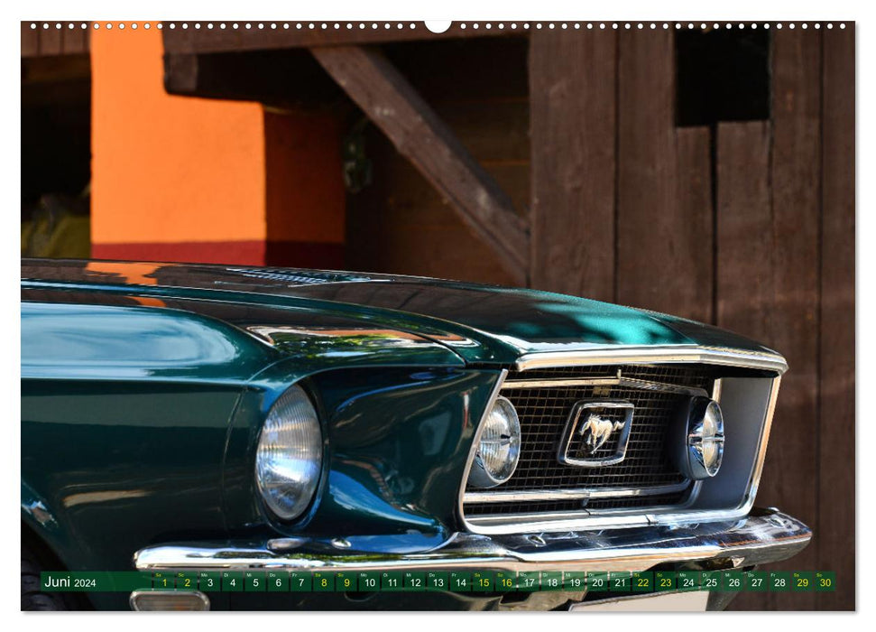 Ein Pony zum verlieben - Ford Mustang 1968 (CALVENDO Premium Wandkalender 2024)