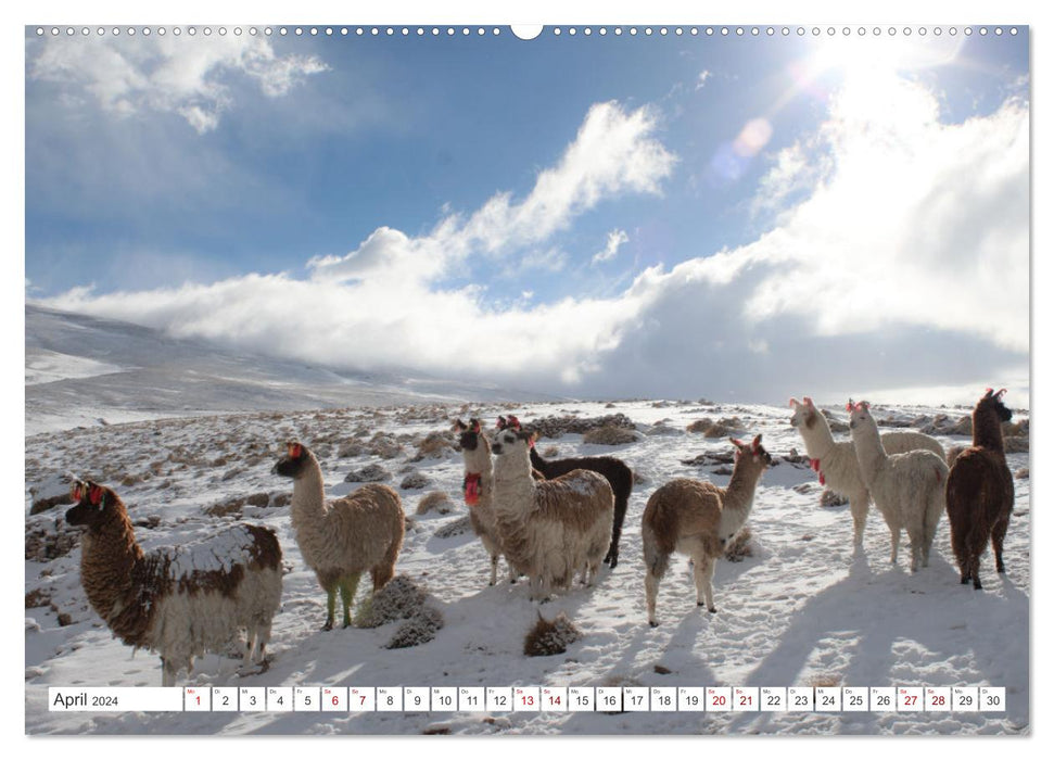 SÜDAMERIKA Eine Bilderreise durch Argentinien, Bolivien, Peru und Chile 2024 (CALVENDO Premium Wandkalender 2024)