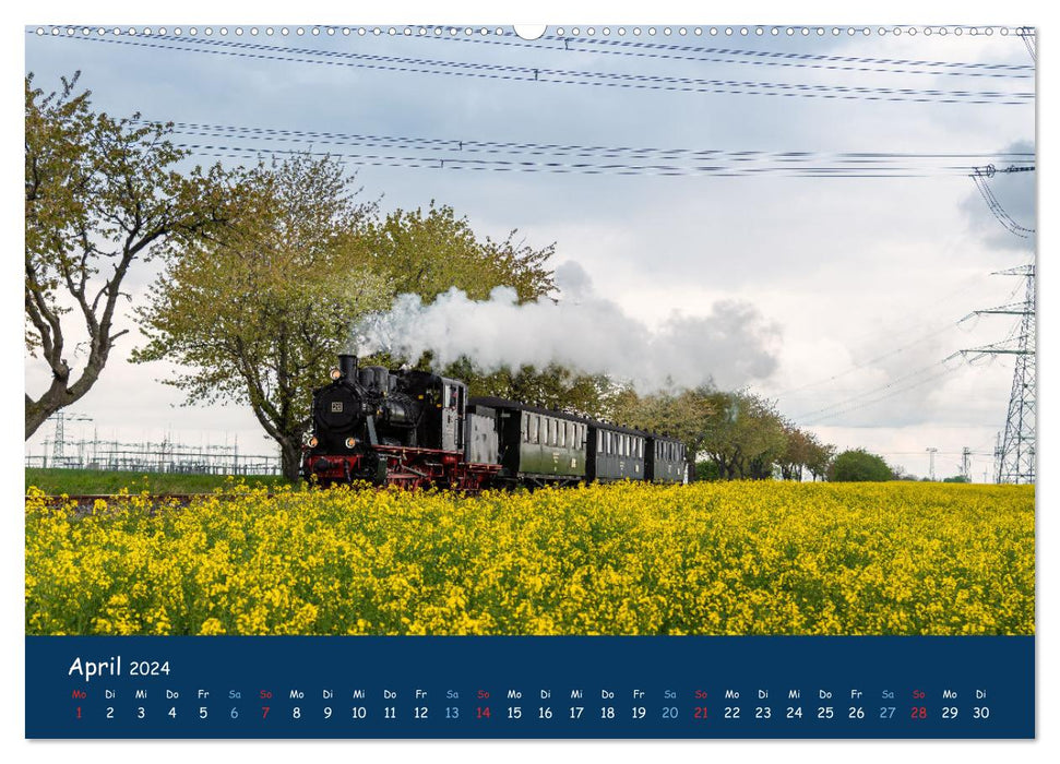 Unter Dampf im Osten (CALVENDO Premium Wandkalender 2024)