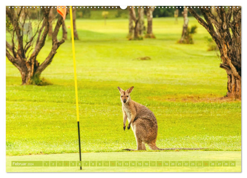 Golfparadiese der Welt (CALVENDO Premium Wandkalender 2024)