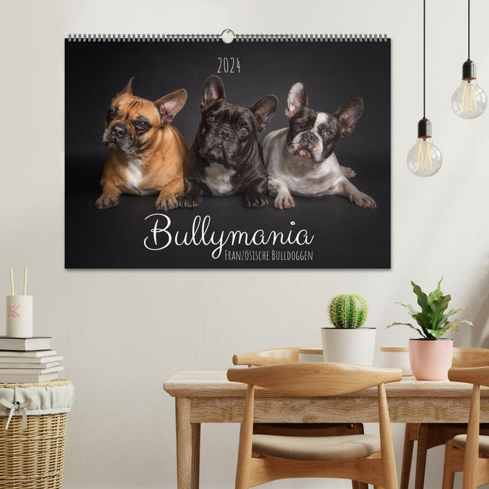 Bullymania - Französische Bulldoggen (CALVENDO Wandkalender 2024)