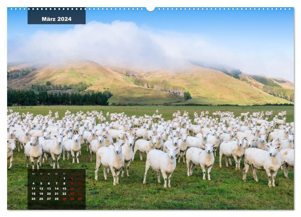 Nouvelle-Zélande - paysages de rêve d'un paradis naturel (calendrier mural CALVENDO 2024) 
