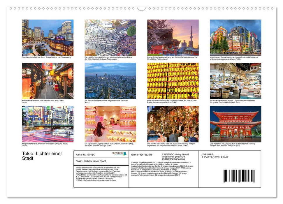 Tokyo : Lumières d'une ville (Calendrier mural CALVENDO 2024) 