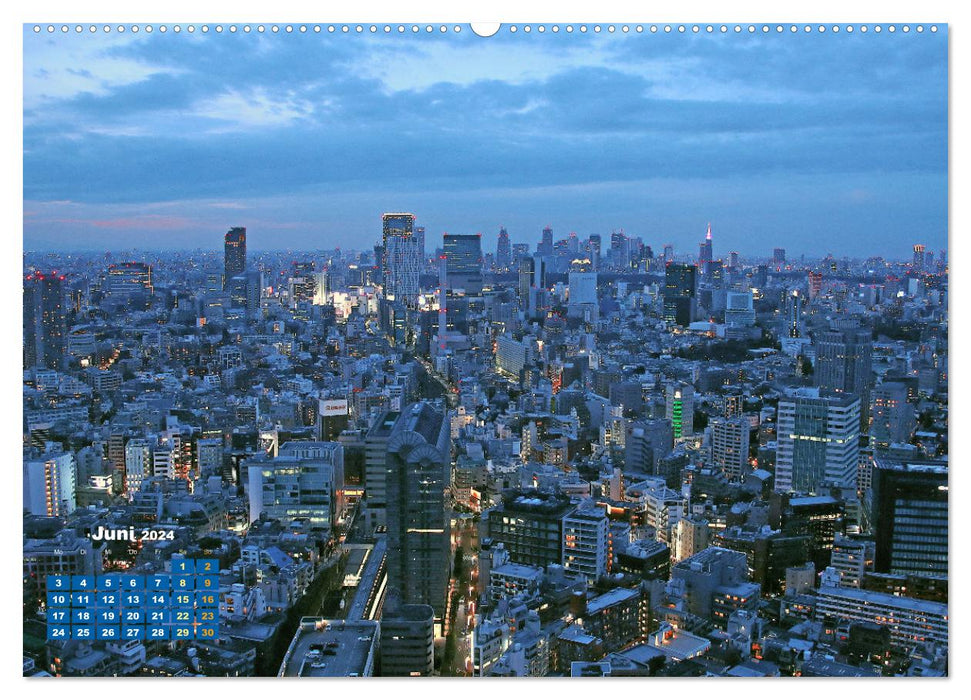 Tokio: Lichter einer Stadt (CALVENDO Wandkalender 2024)