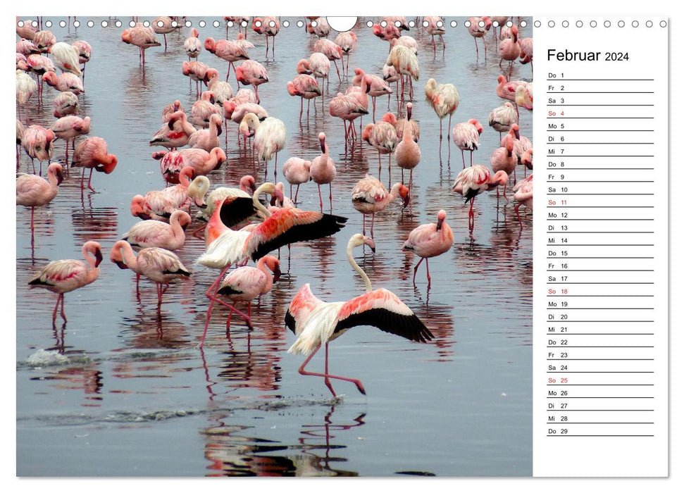 Mein Flamingo Planer (CALVENDO Wandkalender 2024)