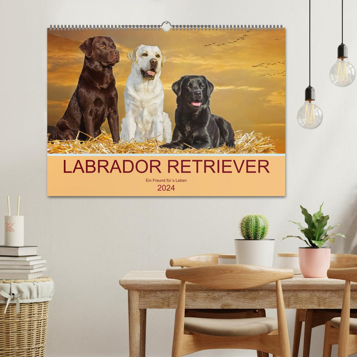 Labrador Retriever - Ein Freund für´s Leben (CALVENDO Wandkalender 2024)