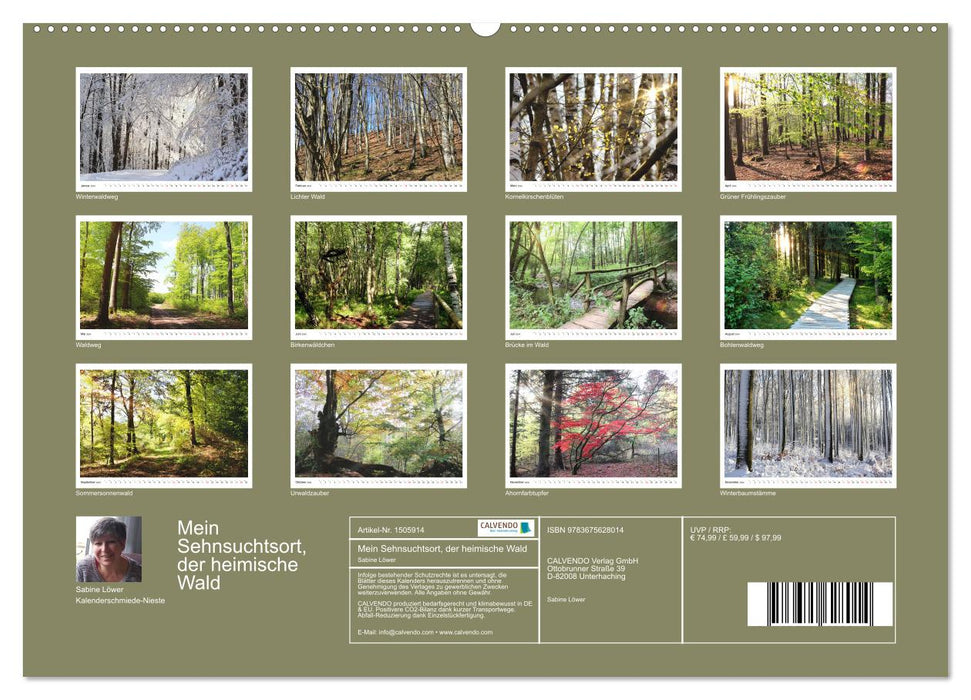 Mein Sehnsuchtsort, der heimische Wald (CALVENDO Premium Wandkalender 2024)
