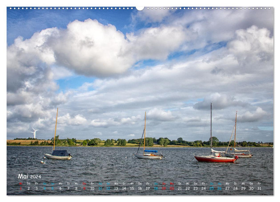 Ostseefjord Schlei (CALVENDO Premium Wandkalender 2024)