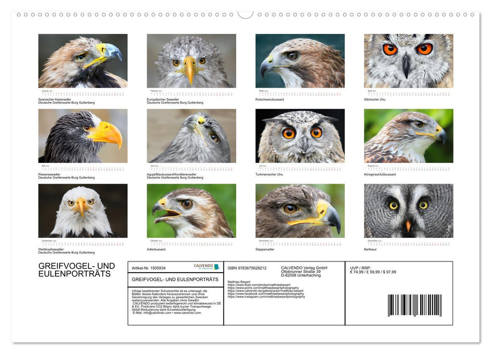 GREIFVOGEL- UND EULENPORTRÄTS (CALVENDO Premium Wandkalender 2024)