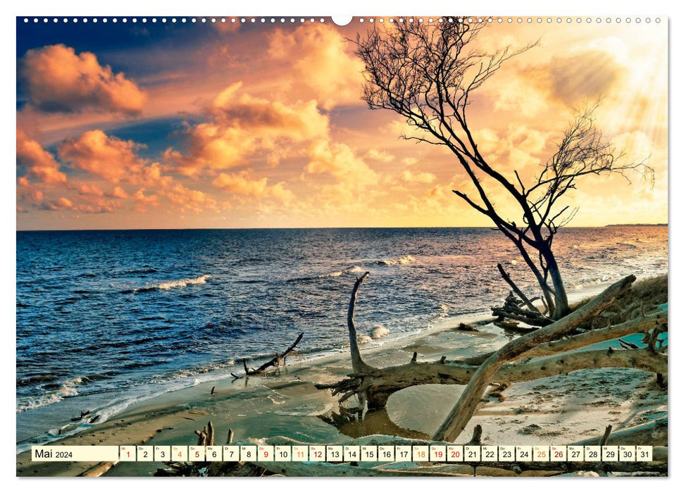Romantische Ostsee - mein Urlaub (CALVENDO Premium Wandkalender 2024)