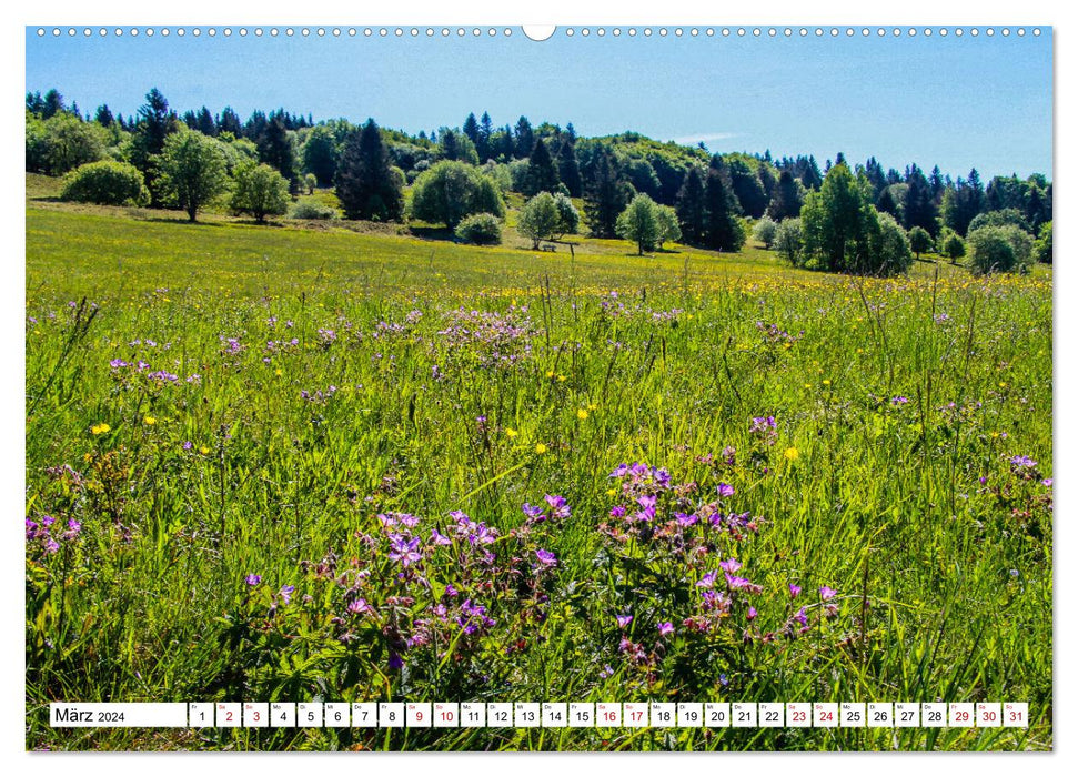 Unterwegs auf dem GrimmSteig - Zu Fuß durch Nordhessens Märchenwälder (CALVENDO Premium Wandkalender 2024)