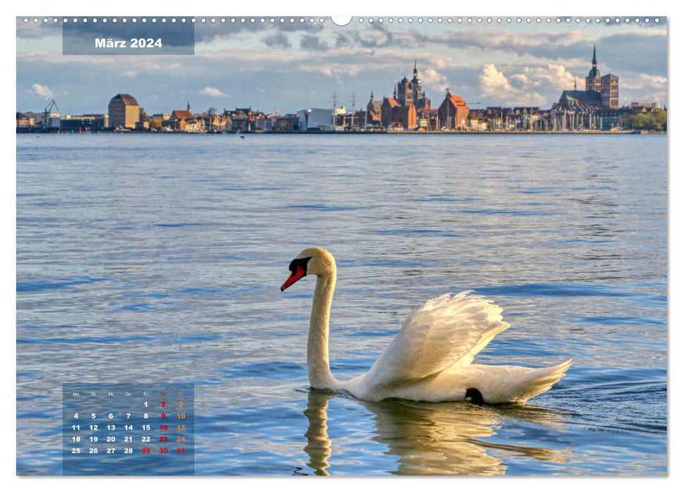 An der Ostseeküste - Deutschlands schönste Seite (CALVENDO Premium Wandkalender 2024)