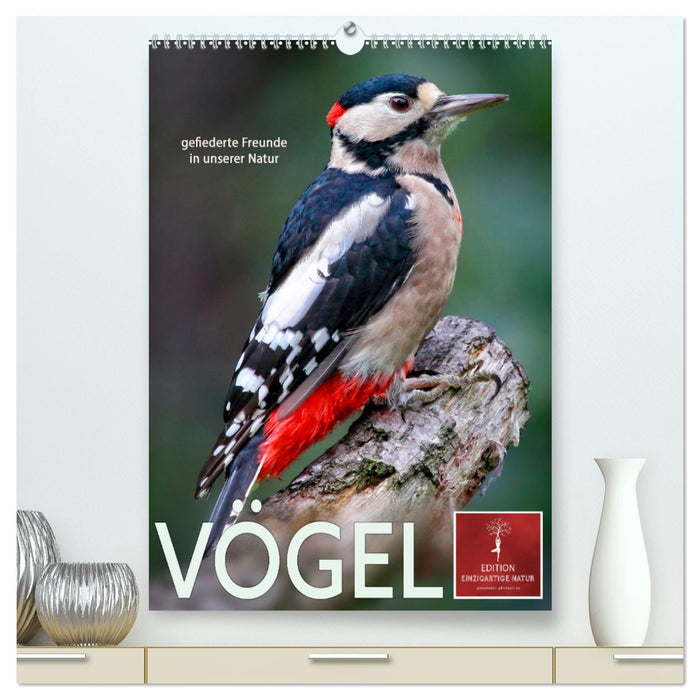 Vögel - gefiederte Freunde in unserer Natur (CALVENDO Premium Wandkalender 2024)