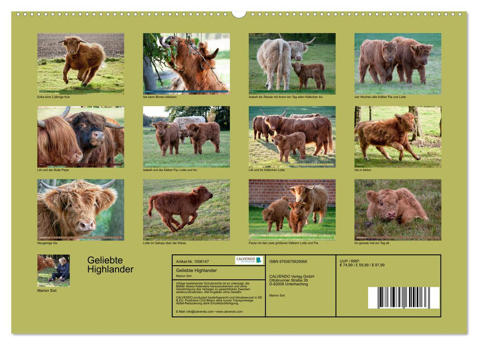 Geliebte Highlander (CALVENDO Premium Wandkalender 2024)