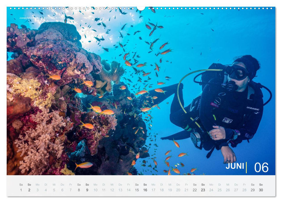 Die schönsten Korallenriffe zum Tauchen in Ägypten (CALVENDO Premium Wandkalender 2024)