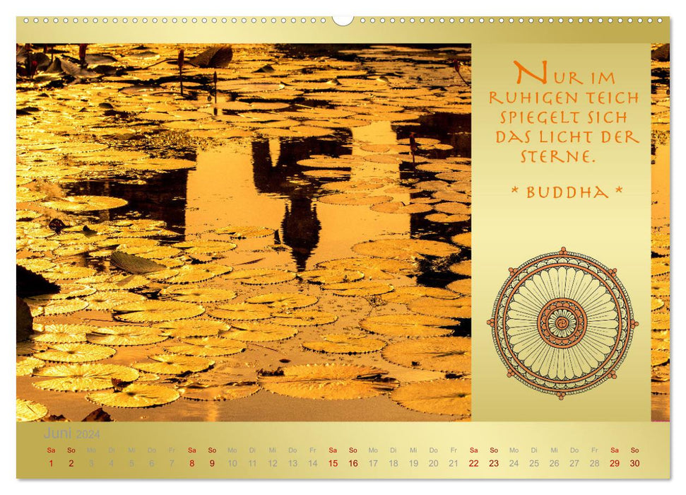 BUDDHA IM GLÜCK - Buddhistische Weisheiten (CALVENDO Wandkalender 2024)