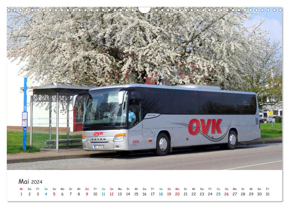 Omnibusse von heute und früher (CALVENDO Wandkalender 2024)