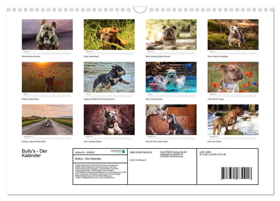 Wunderschöne Bulldoggen (CALVENDO Wandkalender 2024)