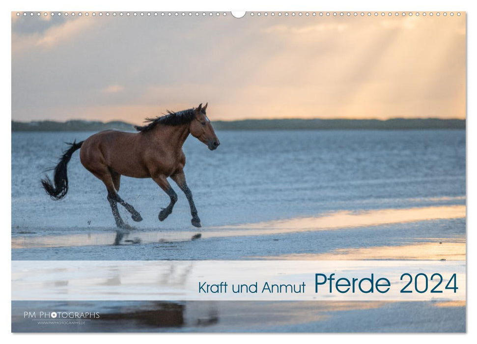 Pferde 2024 Kraft und Anmut (CALVENDO Wandkalender 2024)