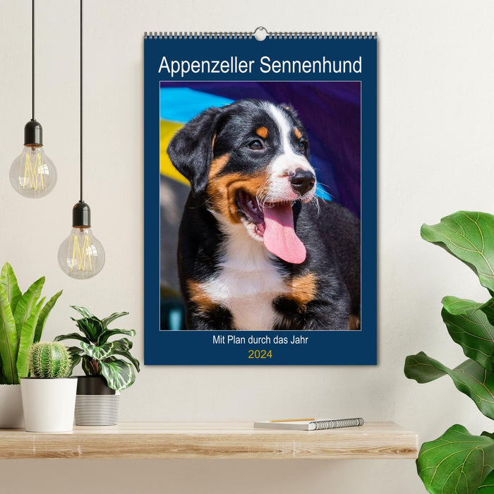 Appenzeller Sennenhund - Mit Plan durch das Jahr (CALVENDO Wandkalender 2024)