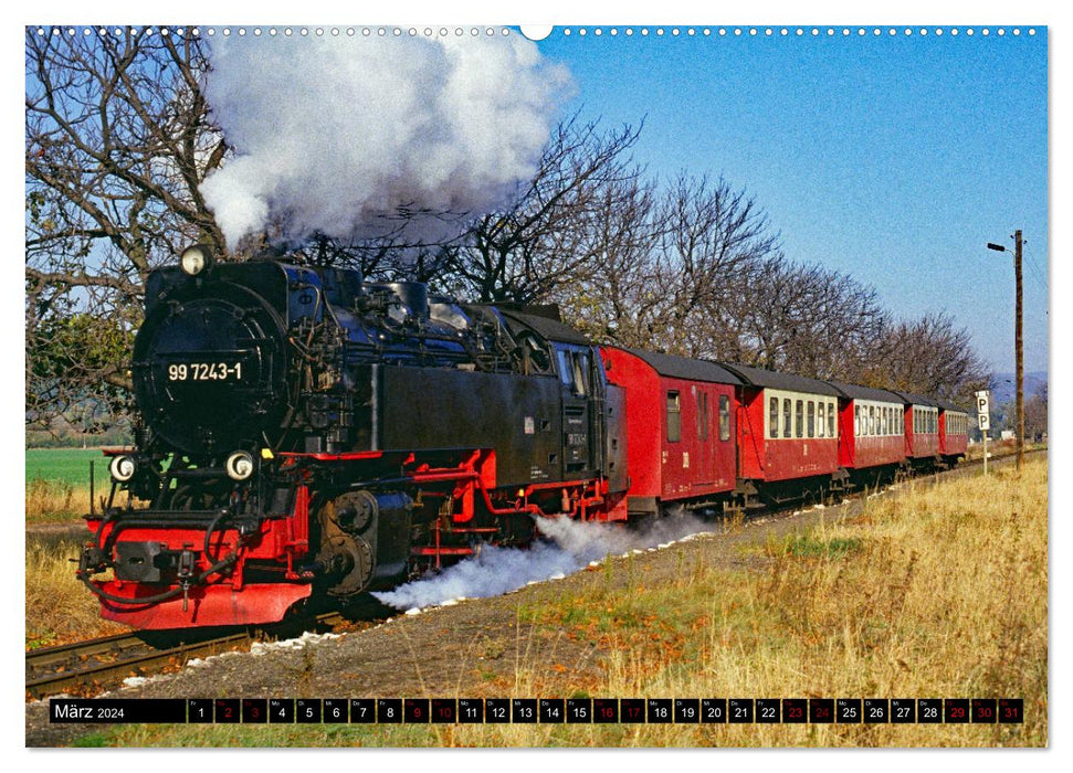 Harz narrow-gauge railways 1980s to today (CALVENDO wall calendar 2024) 