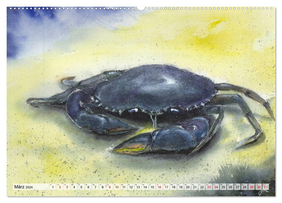 Die Meereswelt in Aquarell (CALVENDO Wandkalender 2024)