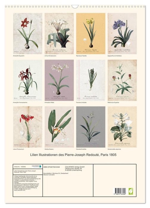 Lilies illustrations by Pierre-Joseph Redouté, Paris 1805 (CALVENDO wall calendar 2024) 