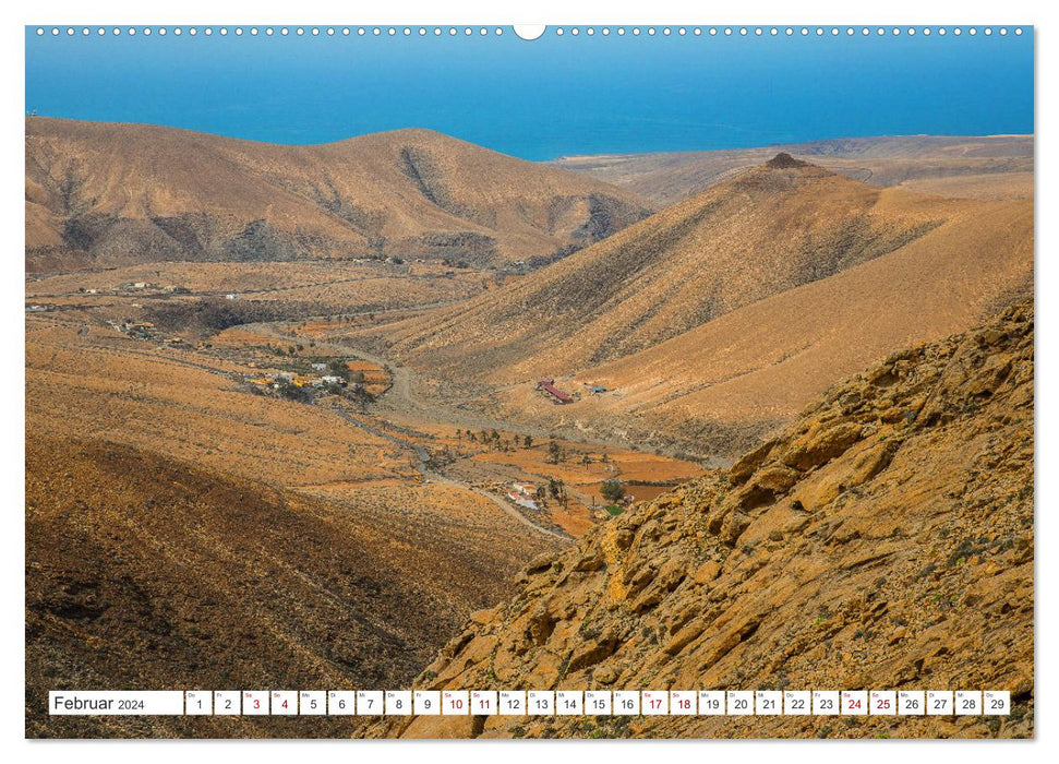 Herbe Schönheit Fuerteventura (CALVENDO Premium Wandkalender 2024)