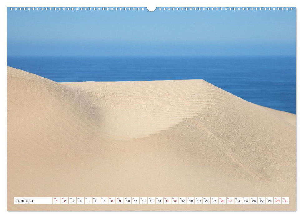 Herbe Schönheit Fuerteventura (CALVENDO Premium Wandkalender 2024)