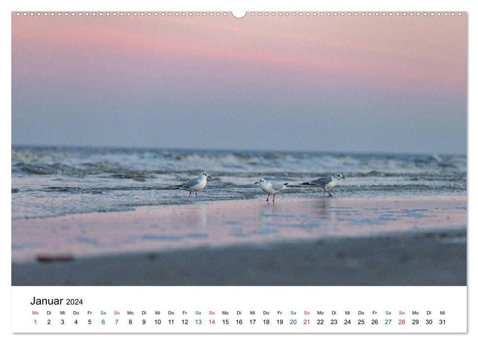 Lighting atmospheres in Sankt Peter-Ording (CALVENDO Premium Wall Calendar 2024) 