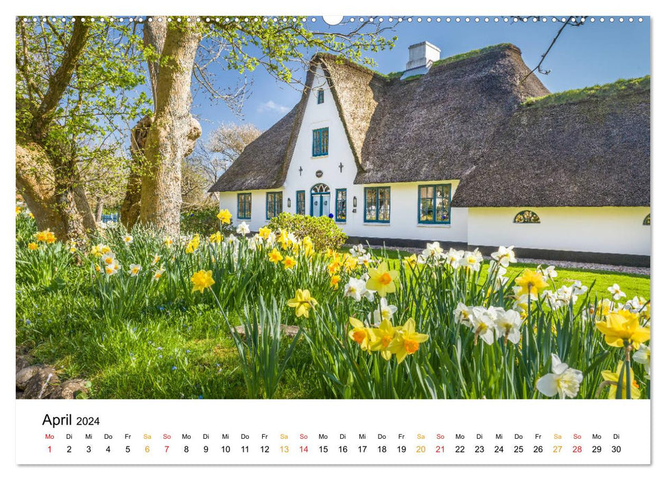 Sylter Frisian Houses (CALVENDO Premium Wall Calendar 2024) 