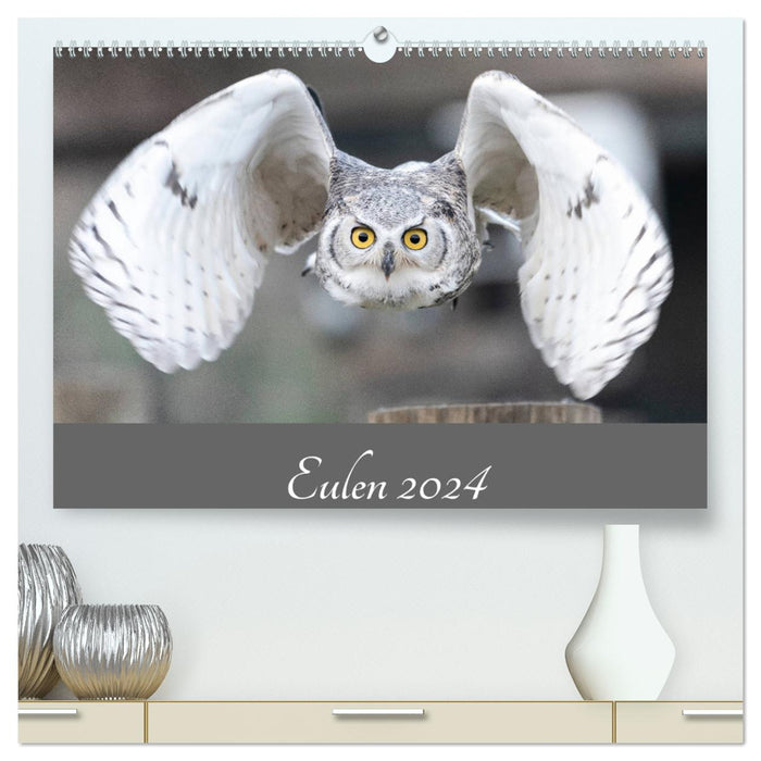 Eulen 2024 (CALVENDO Premium Wandkalender 2024)