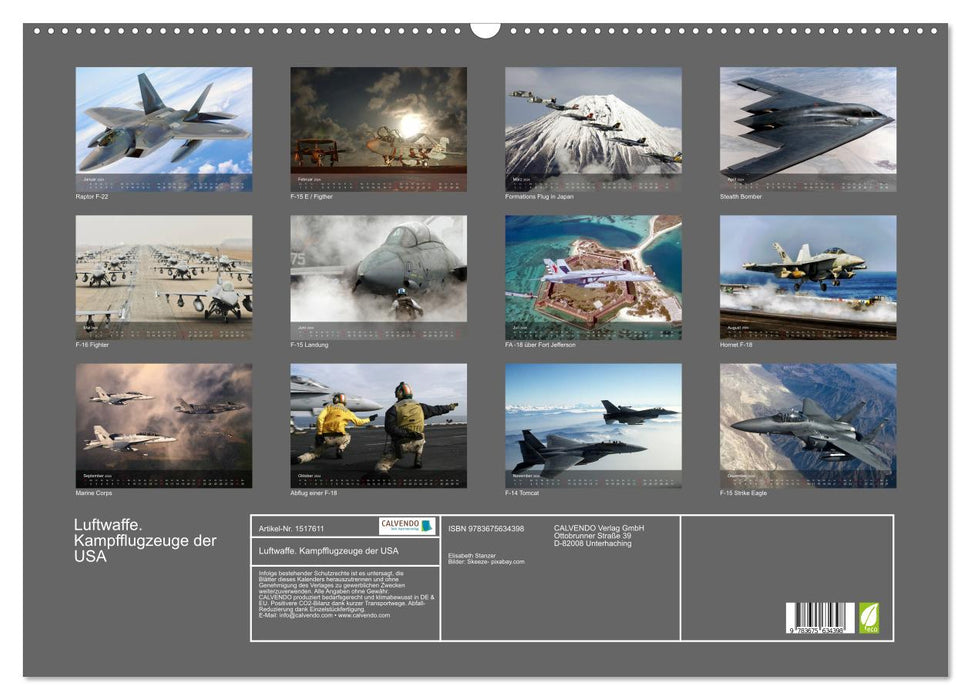 Luftwaffe. Kampfflugzeuge der USA (CALVENDO Wandkalender 2024)