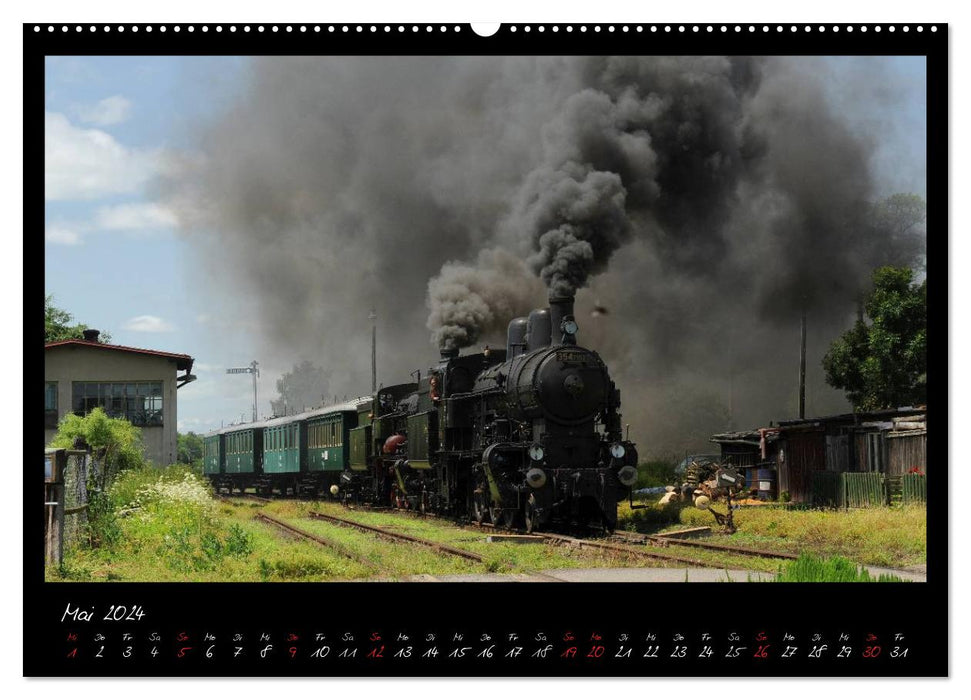 Faszination Dampflokomotive (CALVENDO Premium Wandkalender 2024)