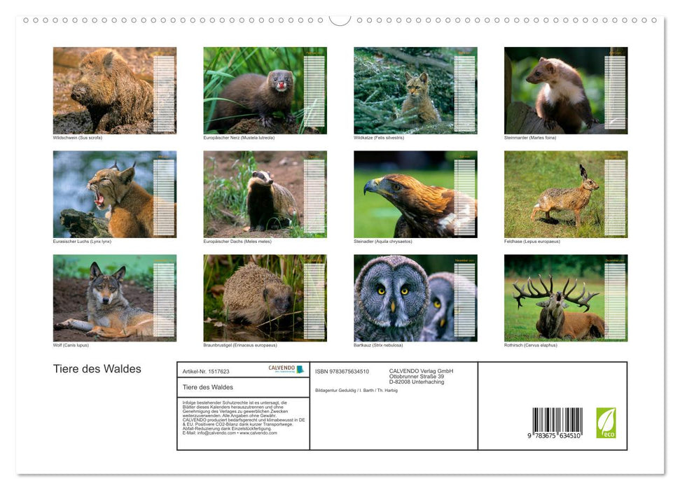 Tiere des Waldes (CALVENDO Premium Wandkalender 2024)
